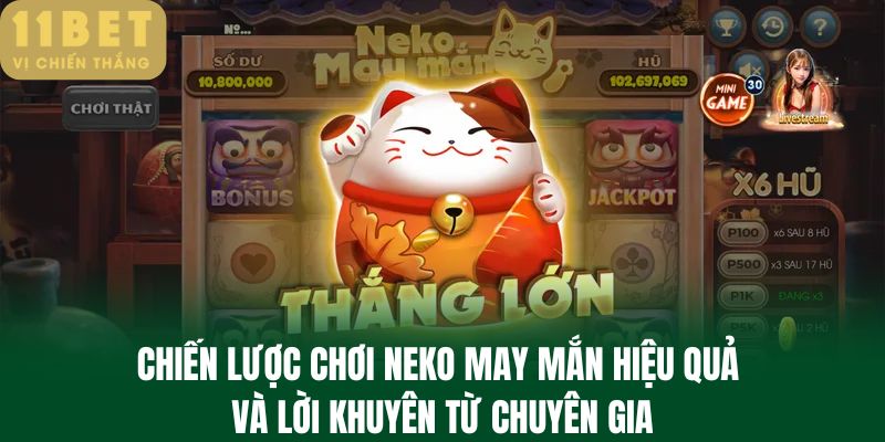 Chiến lược chơi Neko may mắn hiệu quả và lời khuyên từ chuyên gia