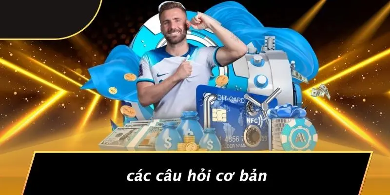 Các Câu Hỏi Cơ Bản