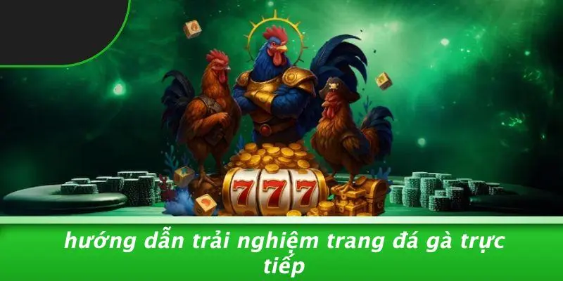 Hướng Dẫn Trải Nghiệm Trang Đá Gà Trực Tiếp