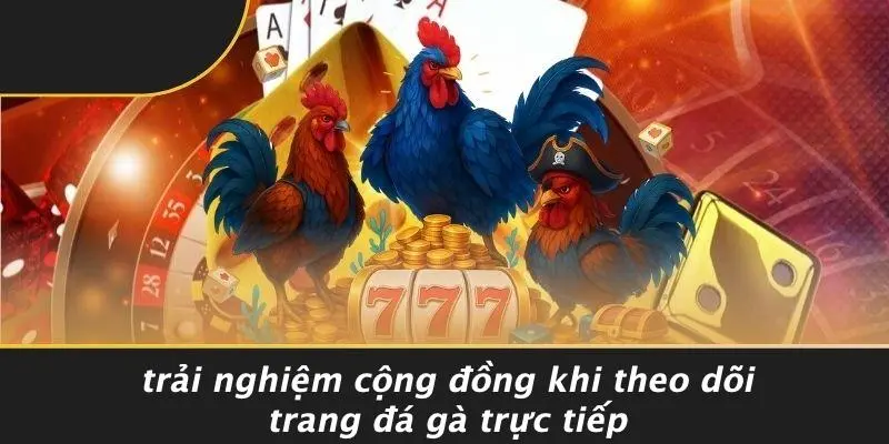 Trải Nghiệm Cộng Đồng Khi Theo Dõi Trang Đá Gà Trực Tiếp